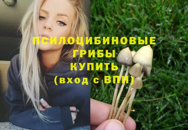 хмурый Краснотурьинск