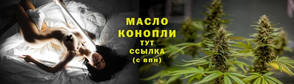 МДПВ Краснослободск