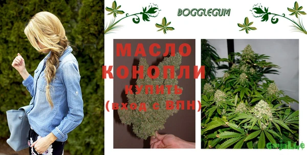 МДПВ Краснослободск