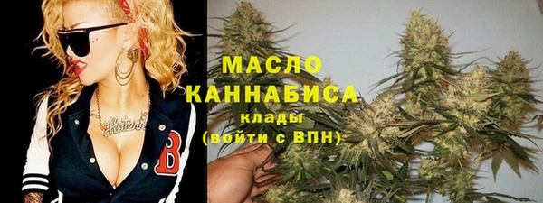 МДПВ Краснослободск